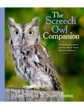 Screech Owl Companion - Humanitas