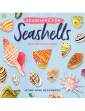 Searching for Seashells Mini Wall Calendar 2026 - Humanitas