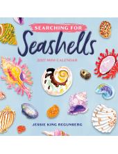 Searching for Seashells Mini Wall Calendar 2027 - Humanitas