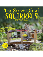 Secret Life of Squirrels Mini Calendar 2027 - Humanitas