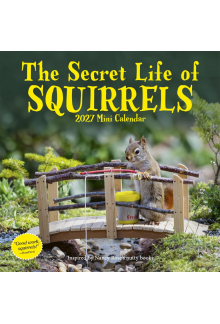 Secret Life of Squirrels Mini Calendar 2027 - Humanitas