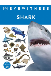 Shark - Humanitas