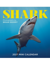 Shark Mini Wall Calendar 2027 - Humanitas