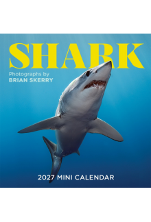 Shark Mini Wall Calendar 2027 - Humanitas