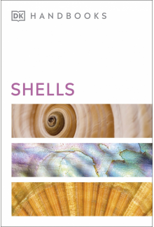 Shells - Humanitas