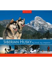 Siberian Husky - Humanitas