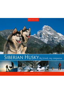 Siberian Husky - Humanitas