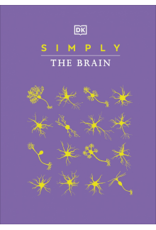 Simply The Brain - Humanitas