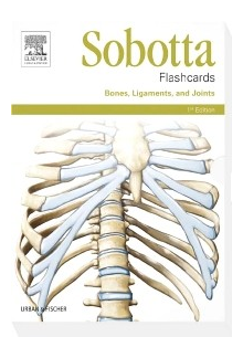 Sobotta Flashcards Bones, Ligaments, and Joints - Humanitas