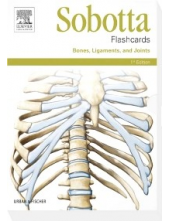 Sobotta Flashcards Bones, Ligaments, and Joints - Humanitas