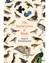 Social Lives of Birds - Humanitas