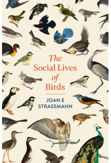 Social Lives of Birds - Humanitas