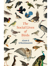 Social Lives of Birds - Humanitas