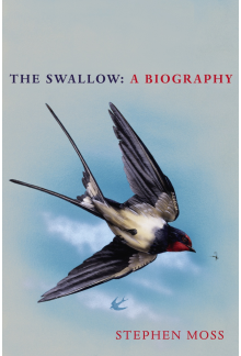 Swallow - Humanitas