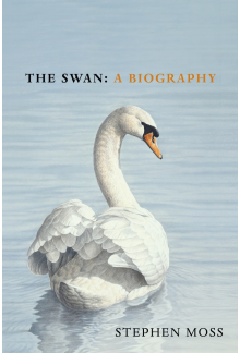 Swan - Humanitas