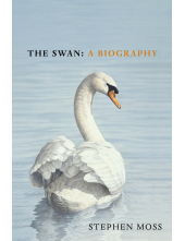 Swan - Humanitas