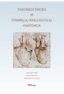 Taikomoji širdies ir stambiųjųkraujagyslių anatomija - Humanitas