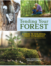 Tending Your Forest - Humanitas