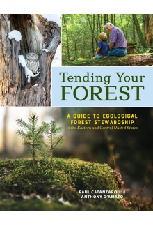 Tending Your Forest - Humanitas
