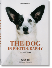 The Dog in Photography1839-Today - Humanitas