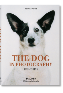 The Dog in Photography1839-Today - Humanitas