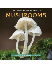 The Wondrous World of Mushrooms Wall Calendar 2027 - Humanitas