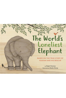 The World's Loneliest Elephant - Humanitas