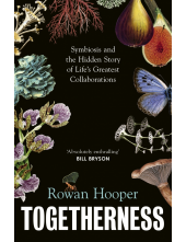 Togetherness - Humanitas