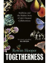 Togetherness - Humanitas