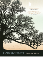 Trees in Winter - Humanitas