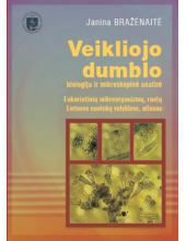 Veikliojo dumblo biologija irmikroskopinė analizė - Humanitas