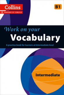 WOY Vocabulary B1 Int - Humanitas