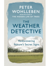 Weather Detective - Humanitas