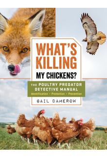 What's Killing My Chickens? - Humanitas