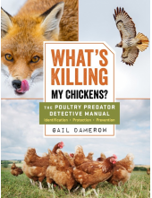 What's Killing My Chickens? - Humanitas