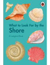 What to Look For by the Shore - Humanitas