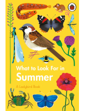 What to Look For in Summer - Humanitas