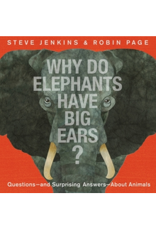 Why Do Elephants Have Big Ears? - Humanitas