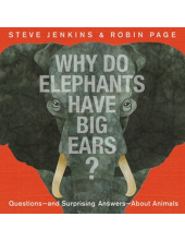 Why Do Elephants Have Big Ears? - Humanitas