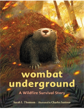 Wombat Underground - Humanitas