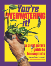 You're Overwatering It! - Humanitas