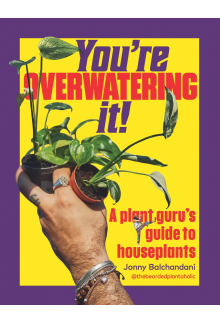 You're Overwatering It! - Humanitas