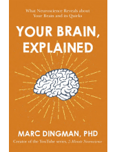 Your Brain, Explained - Humanitas