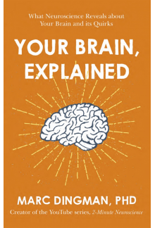 Your Brain, Explained - Humanitas