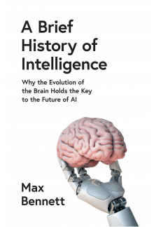 A Brief History of Intelligenc e: Why the Evolution of the Br - Humanitas