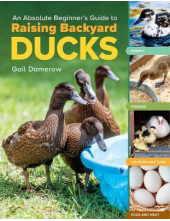 Absolute Beginner's Guide to Raising Backyard Ducks - Humanitas