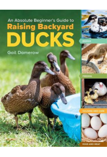 Absolute Beginner's Guide to Raising Backyard Ducks - Humanitas