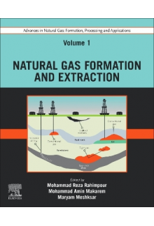 Advances in Natural Gas: Formation, Processing and Applications. Volume 1: Natural Gas Formation and Extraction - Humanitas