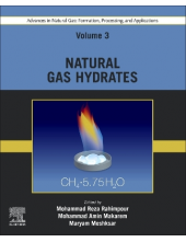 Advances in Natural Gas: Formation, Processing, and Applications. Volume 3: Natural Gas Hydrates - Humanitas