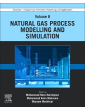 Advances in Natural Gas: Formation, Processing, and Applications. Volume 8: Natural Gas Process Modelling and Simulation - Humanitas